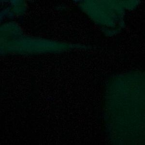 Meet your Posher, Shakyra